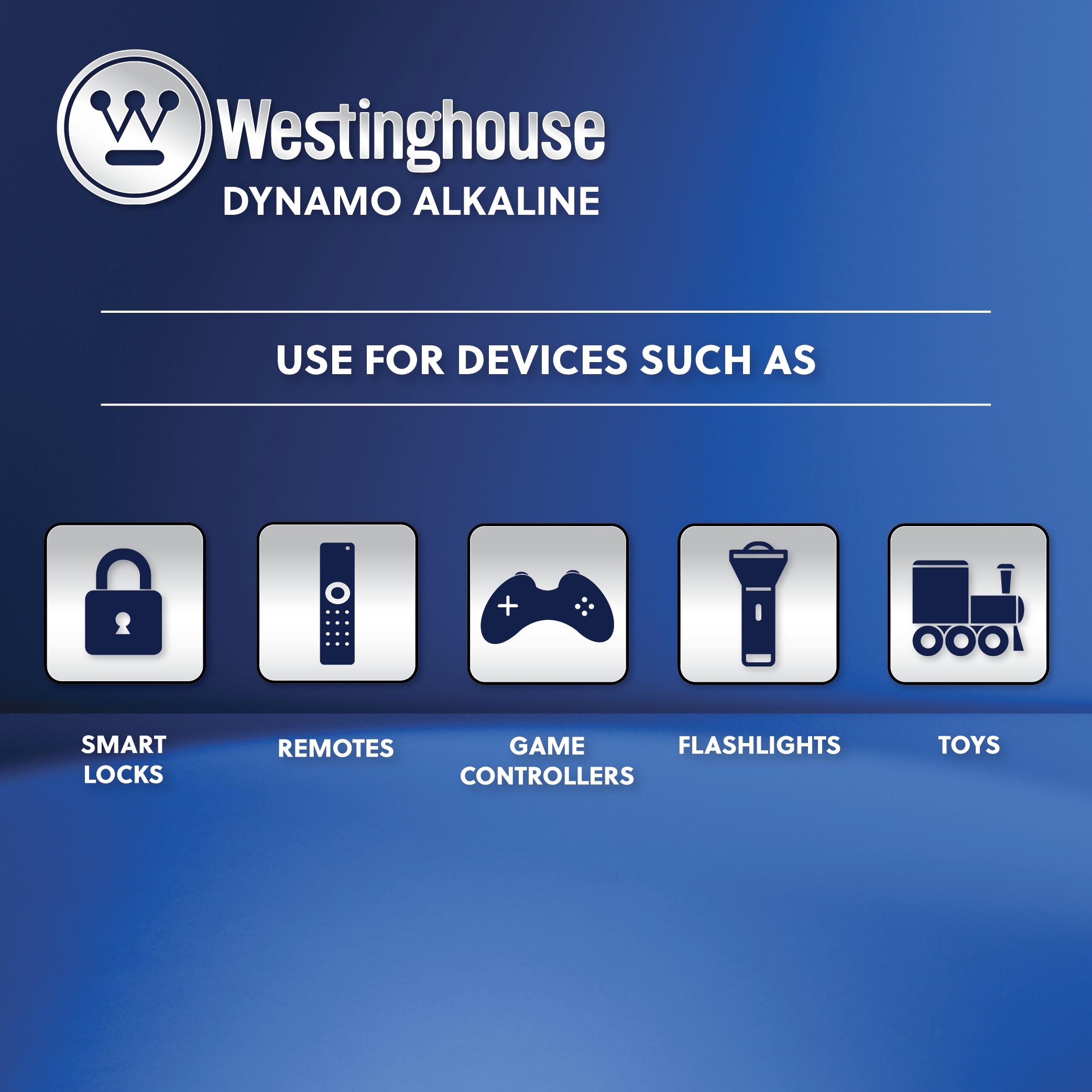 Westinghouse D Dynamo Alkaline Plastic Tub of 6