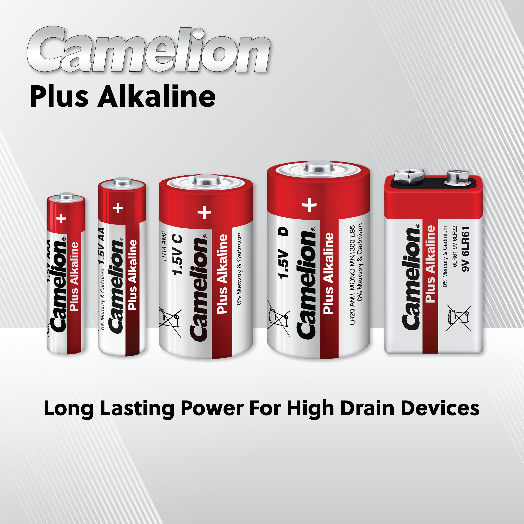 Camelion AA Plus Alkaline 24pk Hard Plastic Case
