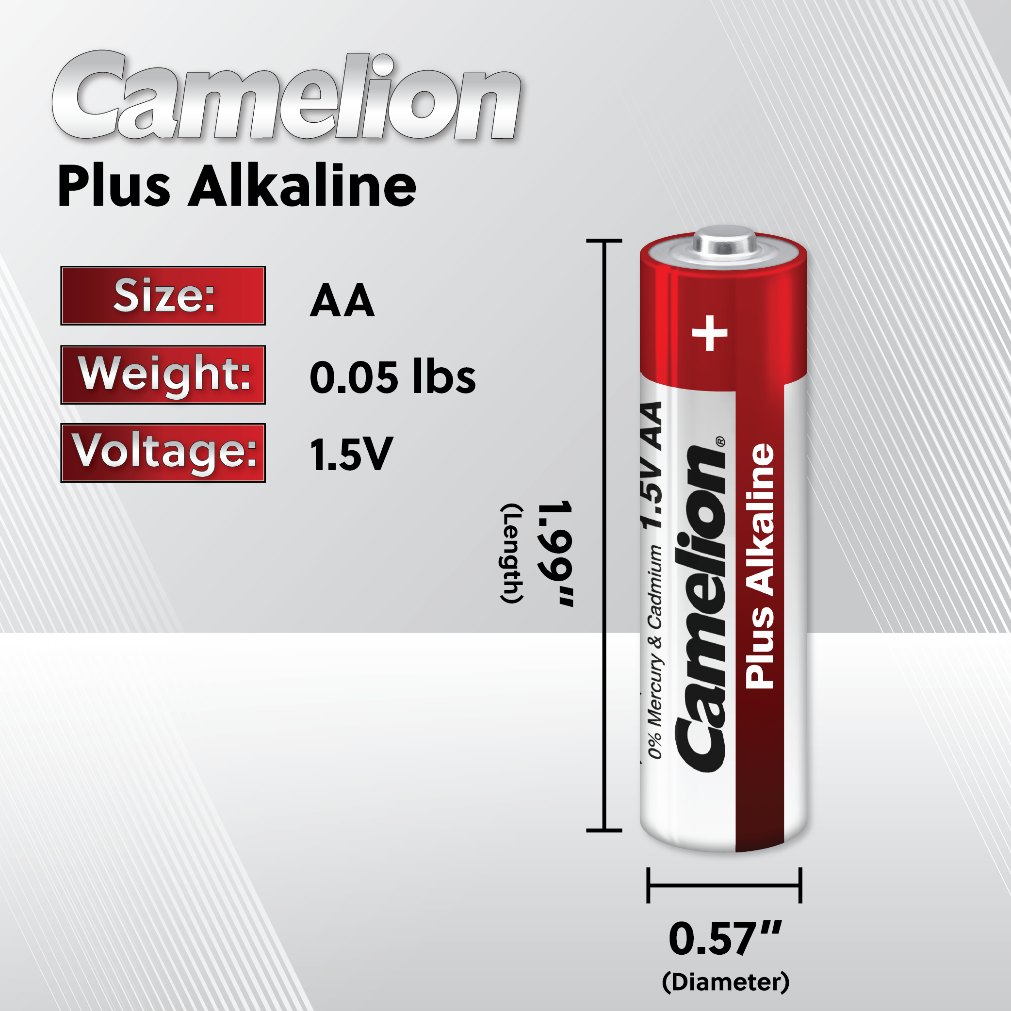 Camelion AA Plus Alkaline 24pk Hard Plastic Case
