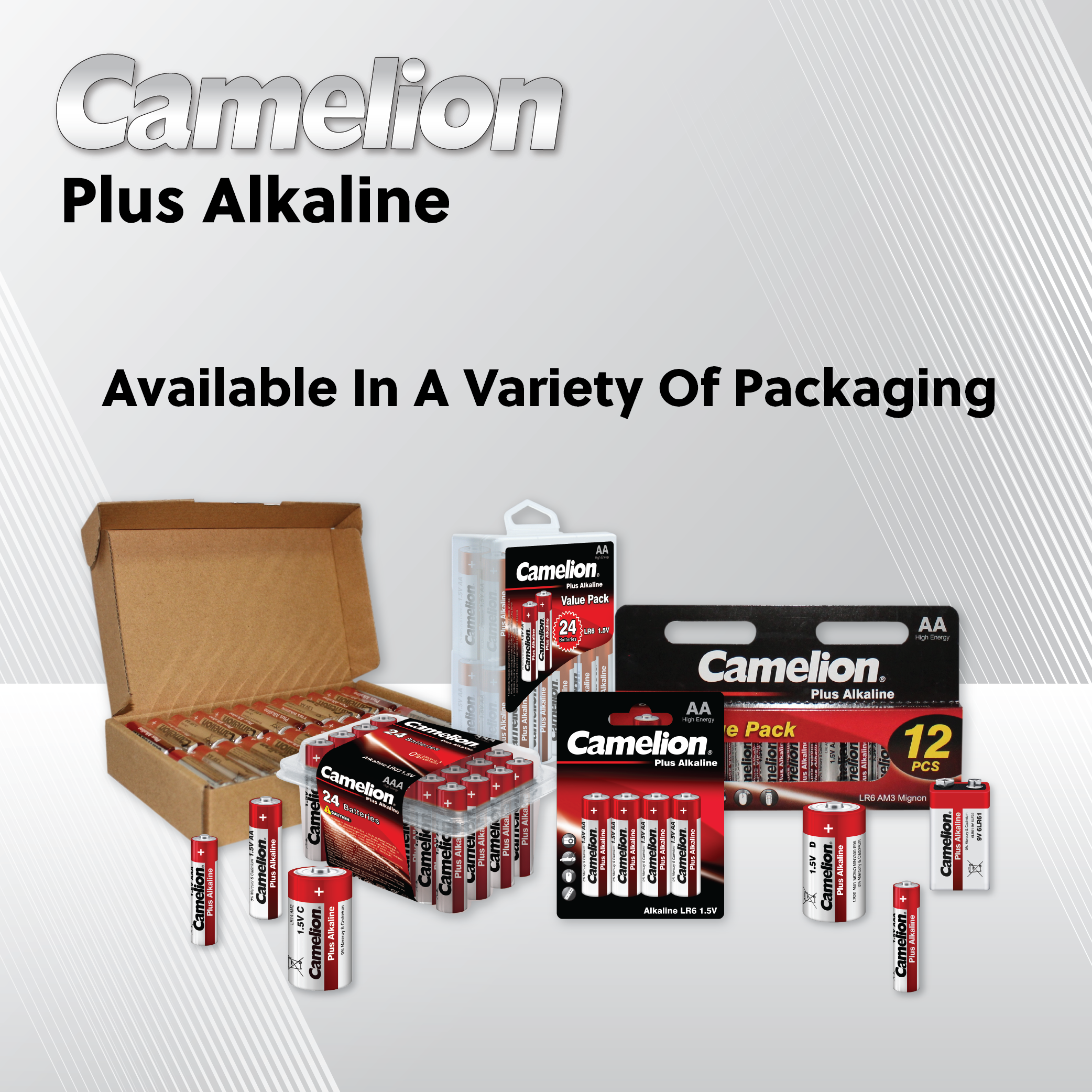 Camelion AA Plus Alkaline Hangable 12 Pack