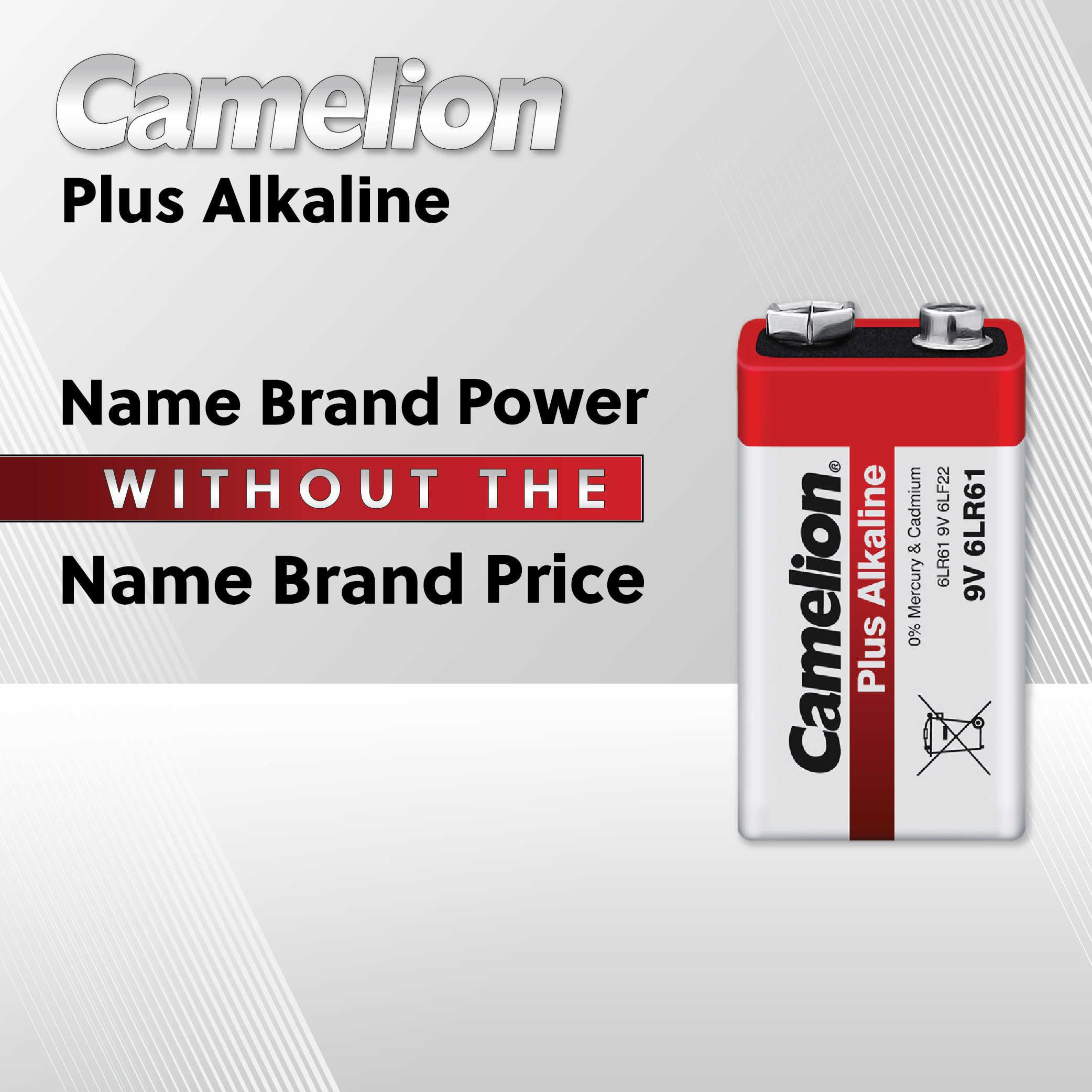 Camelion AA Plus Alkaline 24pk Hard Plastic Case