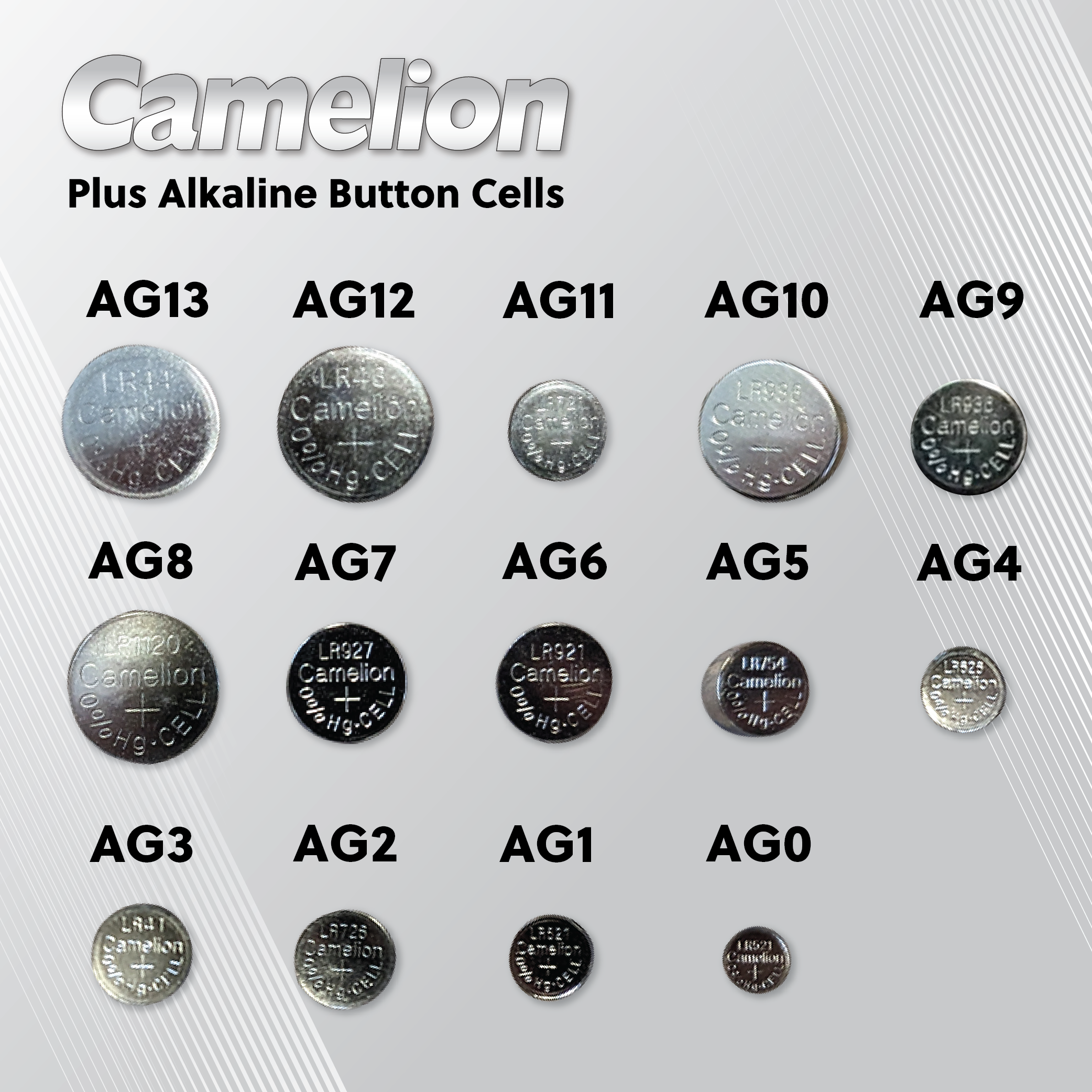 Camelion  AG8 / G8 / LR1121 / LR55 / 191 / SR1120W / GP91A / 391 (Two Packaging Options)