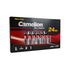 Camelion AA Plus Alkaline 24pk Cardboard Box Counter Display Of 10