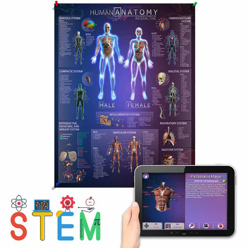 Interactive Smart Chart Human Anatomy | Solar System