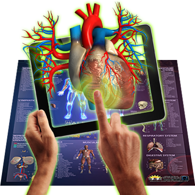 Interactive Smart Chart Human Anatomy | Solar System