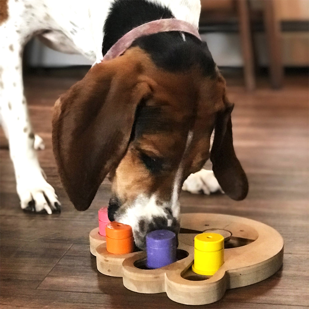 Flipo Brainiac Busy Paw Interactive Pet Toy