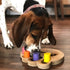 Flipo Brainiac Busy Paw Interactive Pet Toy