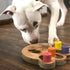 Flipo Brainiac Busy Paw Interactive Pet Toy